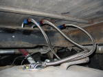 Click on one of the size names above to enlarge this image