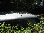 Click on one of the size names below to enlarge this image