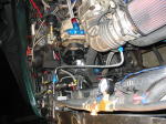 Click on one of the size names below to enlarge this image