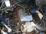 Click on one of the size names below to enlarge this image