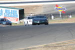 Click on one of the size names above to enlarge this image