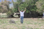 Click on one of the size names above to enlarge this image