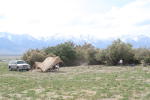 Click on one of the size names above to enlarge this image