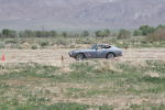 Click on one of the size names above to enlarge this image