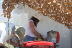 Click on one of the size names above to enlarge this image