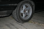 Click on one of the size names above to enlarge this image