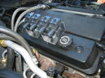 Click on one of the size names below to enlarge this image