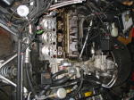 Click on one of the size names below to enlarge this image