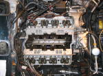 Click on one of the size names below to enlarge this image