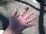 Click on one of the size names above to enlarge this image