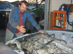 Click on one of the size names above to enlarge this image