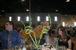 Click on one of the size names below to enlarge this image