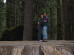 Click on one of the size names above to enlarge this image