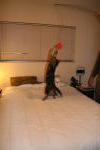 Click on one of the size names above to enlarge this image