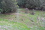 Click on one of the size names above to enlarge this image