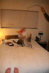 Click on one of the size names above to enlarge this image