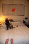 Click on one of the size names above to enlarge this image