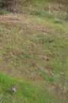 Click on one of the size names above to enlarge this image