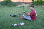 Click on one of the size names above to enlarge this image