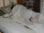 Click on one of the size names above to enlarge this image