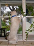 Click on one of the size names above to enlarge this image