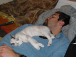 Click on one of the size names above to enlarge this image