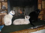 Click on one of the size names above to enlarge this image