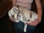 Click on one of the size names above to enlarge this image
