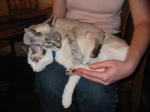 Click on one of the size names above to enlarge this image