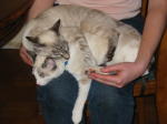 Click on one of the size names above to enlarge this image