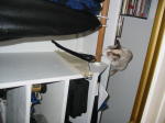 Click on one of the size names below to enlarge this image