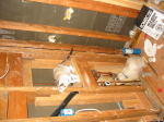 Click on one of the size names above to enlarge this image