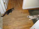 Click on one of the size names above to enlarge this image