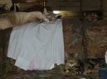 Click on one of the size names above to enlarge this image