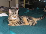 Click on one of the size names above to enlarge this image