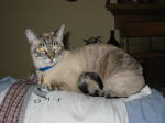 Click on one of the size names above to enlarge this image
