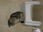 Click on one of the size names above to enlarge this image