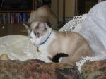 Click on one of the size names above to enlarge this image