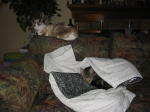 Click on one of the size names above to enlarge this image