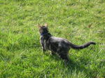 Click on one of the size names above to enlarge this image