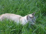 Click on one of the size names above to enlarge this image