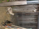 Click on one of the size names above to enlarge this image