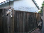 Click on one of the size names above to enlarge this image