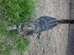 Click on one of the size names below to enlarge this image