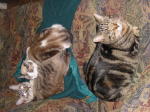 Click on one of the size names below to enlarge this image