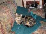 Click on one of the size names below to enlarge this image