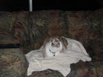 Click on one of the size names below to enlarge this image