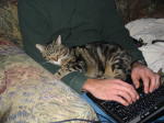 Click on one of the size names below to enlarge this image