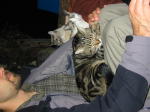 Click on one of the size names above to enlarge this image
