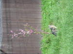 Click on one of the size names above to enlarge this image